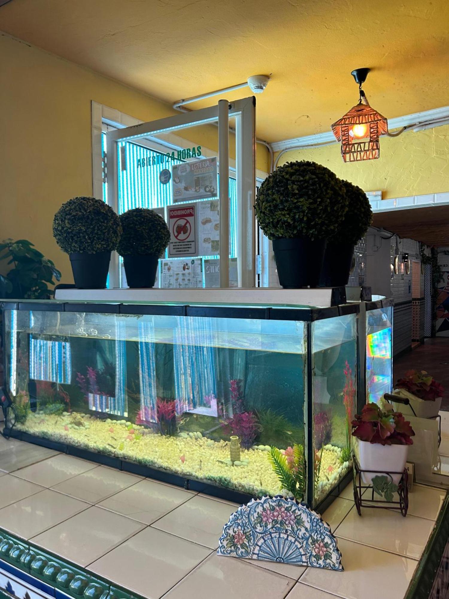 Hostal Avenida Andalucia - Solo Adultos Seville Ngoại thất bức ảnh